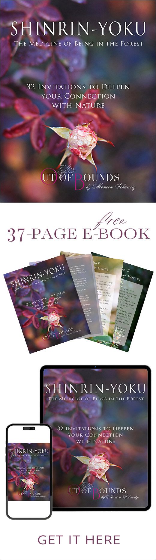 Free Shinrin-Yoku e-book sidebar widget