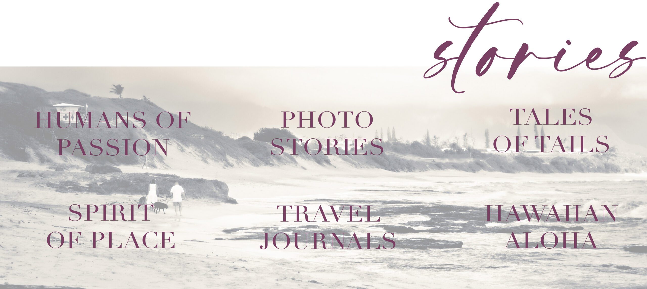 New Stories Widget for home page